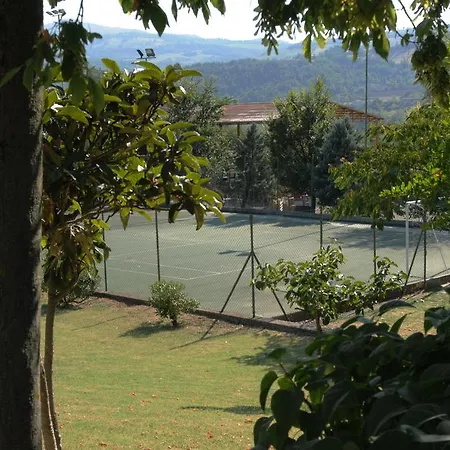 Poggio Duca * Rimini