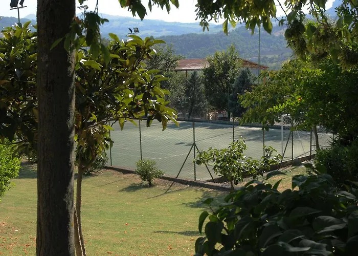 Poggio Duca * Rimini