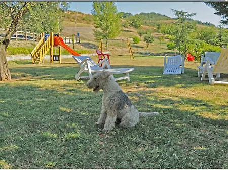 Poggio Duca Alojamento de Turismo Rural