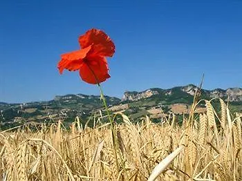 Poggio Duca Rímini